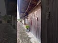 天空の郷【果無集落】#shorts 日本の原風景※癒し♡波動が高い隠れパワースポット（NARA,JAPAN）