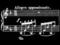 Miniature de la vidéo de la chanson 24 Préludes, Op. 28 No. 24 In D Minor: Allegro Appassionato