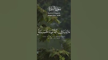 ربنا ءاتنا فى الدنيا حسنة❤ #سورة_البقرة #راحة_نفسية #قرآن #قران_كريم #تلاوة_خاشعة #حالات_واتس #مصر