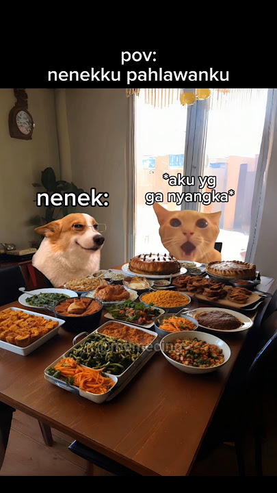 Nenek siapa nih #meme #memekucing #kucinglucu #kucing #shorts #catlover