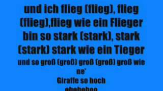 Video thumbnail of "So ein schöner Tag (das Fliegerlied) Lyrics"