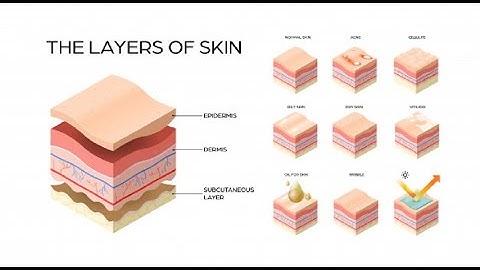 11 - كونكت بلس ثالثه ابتدائى ترم اول  Connect Plus G 3 Unit 2 Body Matters  Lesson 4