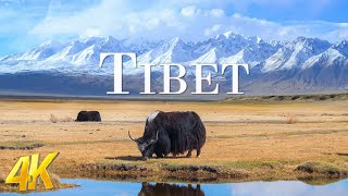 Tibet (4K UHD) - Beautiful Nature Scenery With Epic Cinematic Music - Natural Landscape