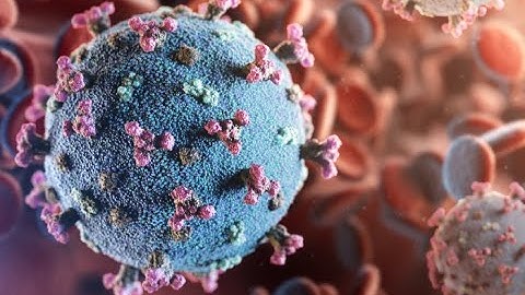 Epidemiological Models for Infectious Diseases and Applications in COVID 19