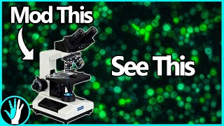 Fluorescent microscopes are amazing!