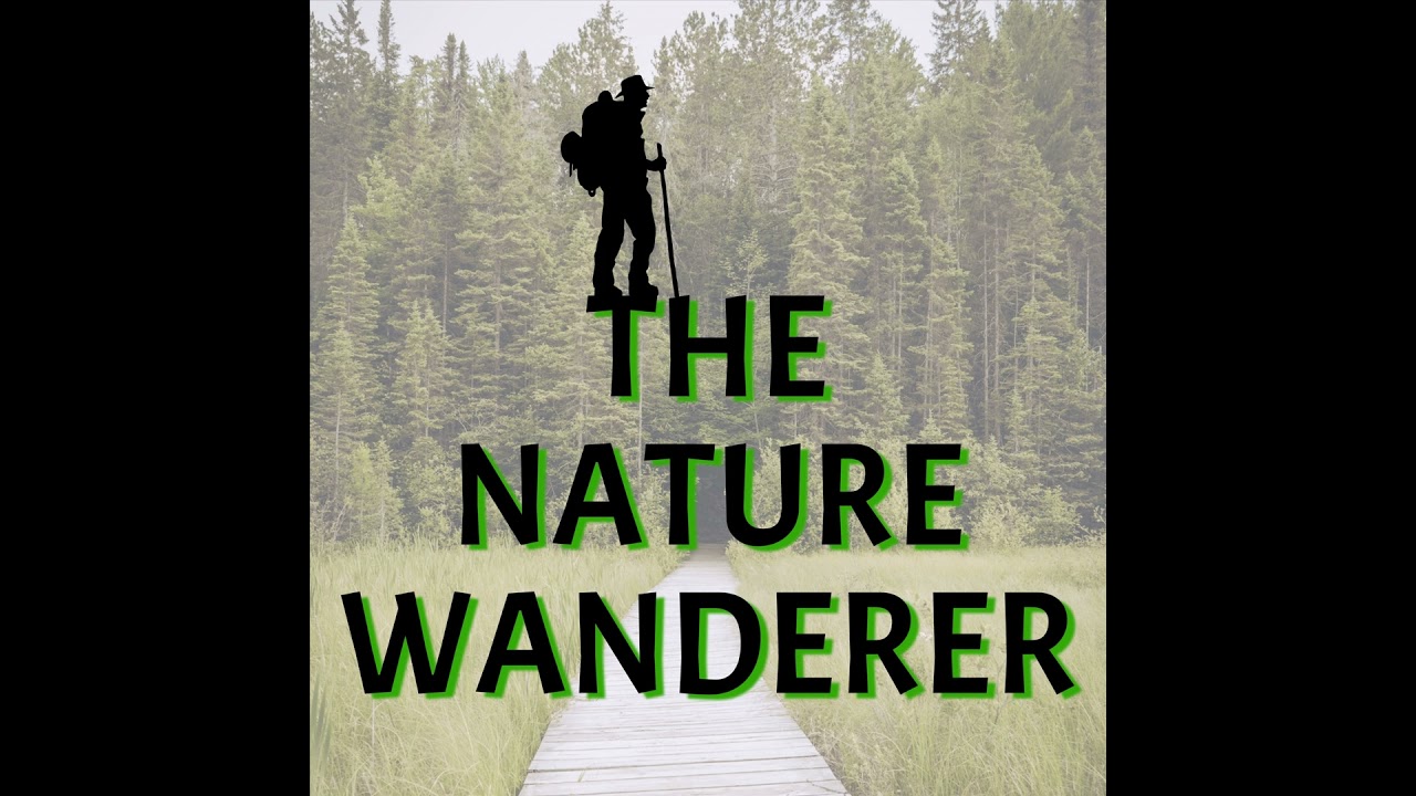 Whispers of Spring: How Nature Signals the Change