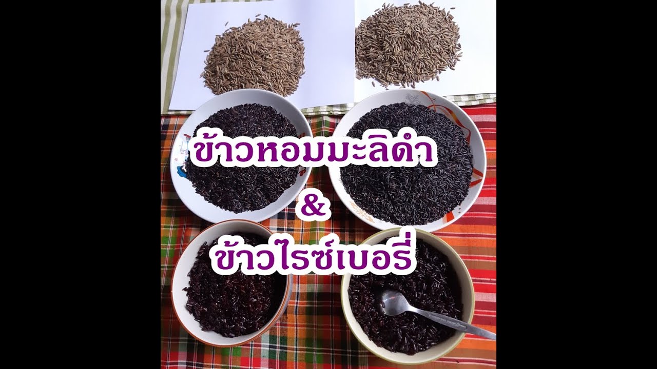ข้าวหอมมะลิดำ & ข้าวไรซ์เบอรี่