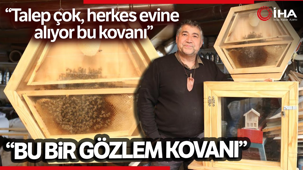 Arıları Gözlemlemek İçin ‘Arıvaryum’ Adında Kovan Dizayn Etti