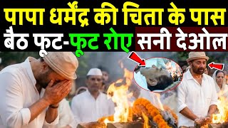 पप धरमदर क च त क पस बठ फट फट रए सन दओल Dharmendra Pes Away Sunny Deol