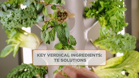 Key Verdical Ingredients: TE Solutions