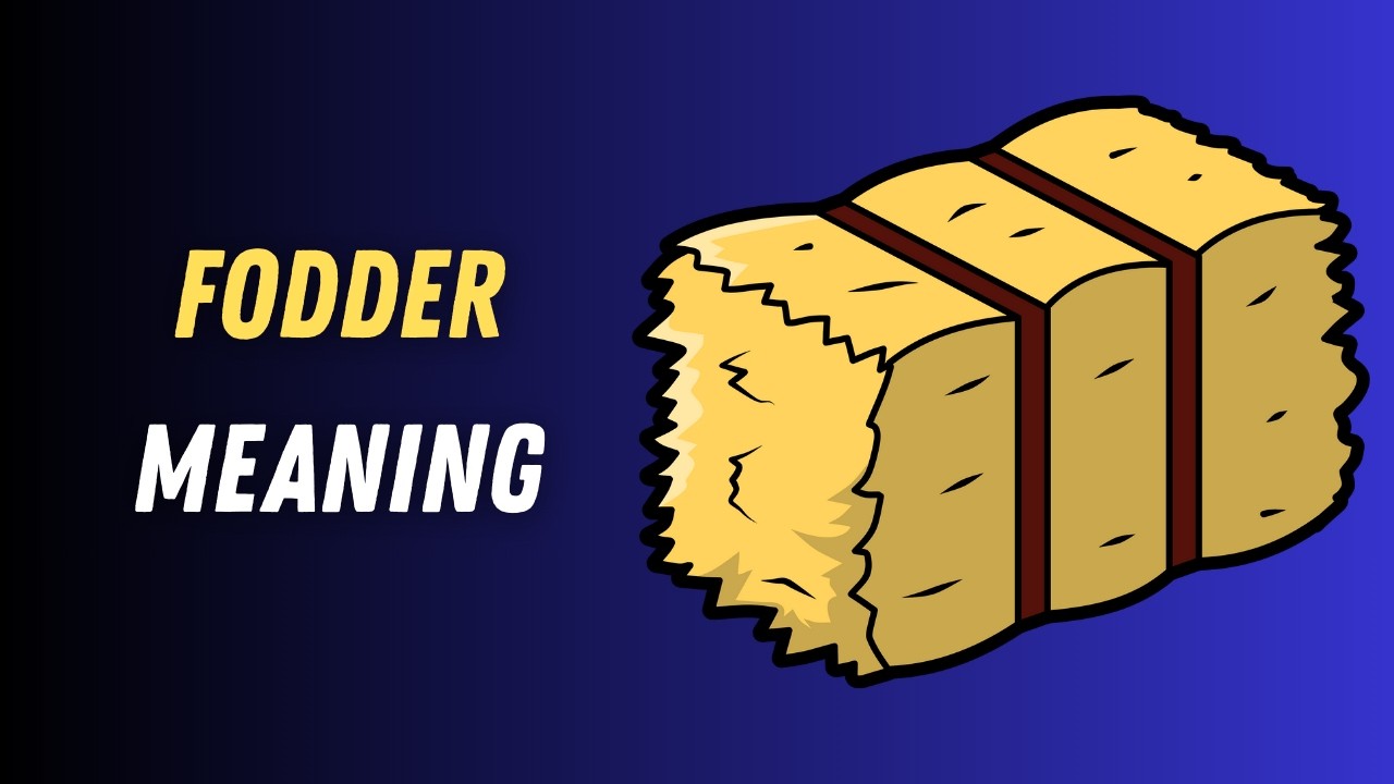 Fodder Human Fodder Meaning in English | Fodder Explained Simply with Examples - YouTube
