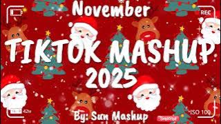Tiktok Mashup November 💖2025💖 (Not Clean)