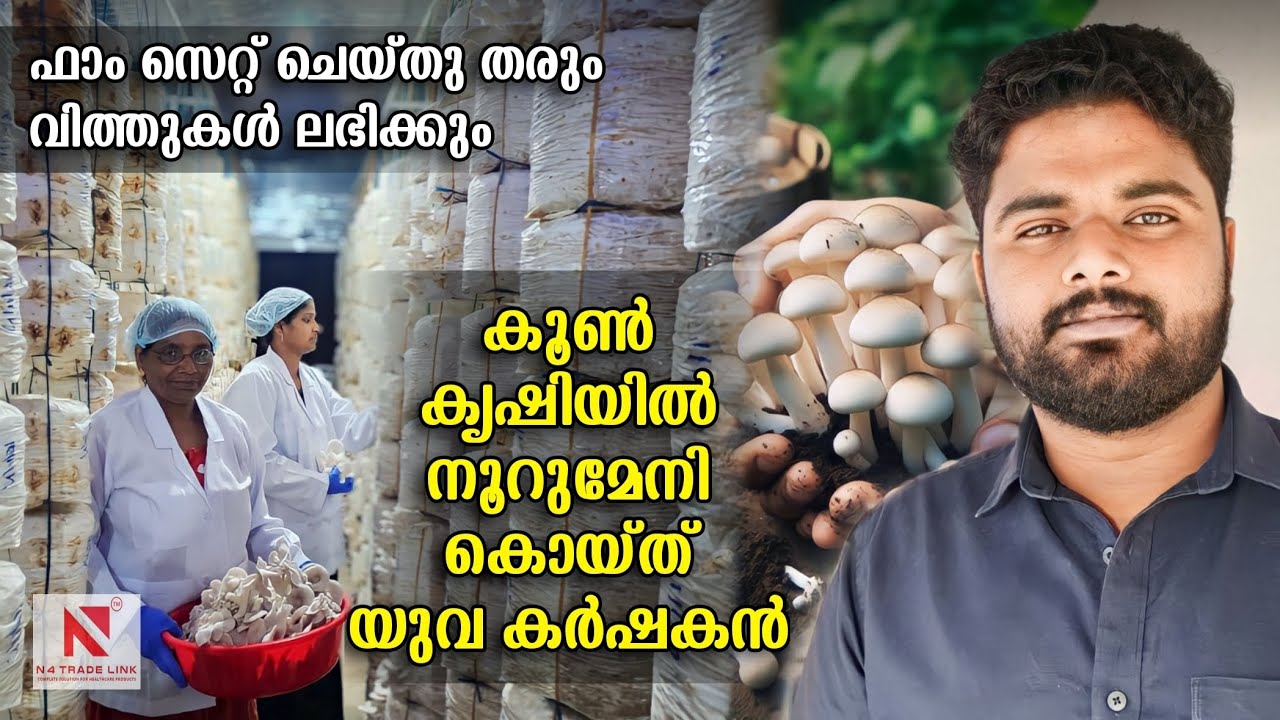 കൂൺ കൃഷിയിൽ വിജയിച്ച യുവ കർഷകന്റെ ഫാം കാണാം അനുഭവ കഥ കേൾക്കാം | Mushroom farming | success story