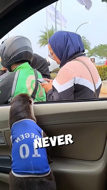This cute otter was ignored 🥺💔 #shorts