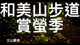 《下班隨便走走》新店和美山步道賞螢火蟲20220420 