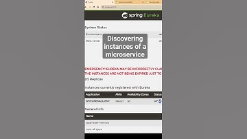 Microservices and service discovery #javadevelopment #programming #springboot #microservice
