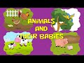 Animals and their babies in English. Животные и их детеныши на английском языке детям