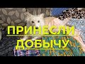 Принесли с Дуней добычу - одежду для лоскутного шитья пэчворк