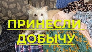 Принесли с Дуней добычу - одежду для лоскутного шитья пэчворк