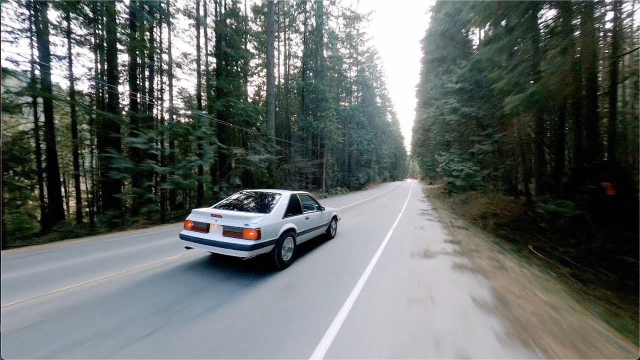 Mira Snak The Ripper & Young Sin - Until The Wheels Fall Off (Official Video) en YouTube Mira Snak The Ripper & Young Sin - Until The Wheels Fall Off (Official Video) en YouTube