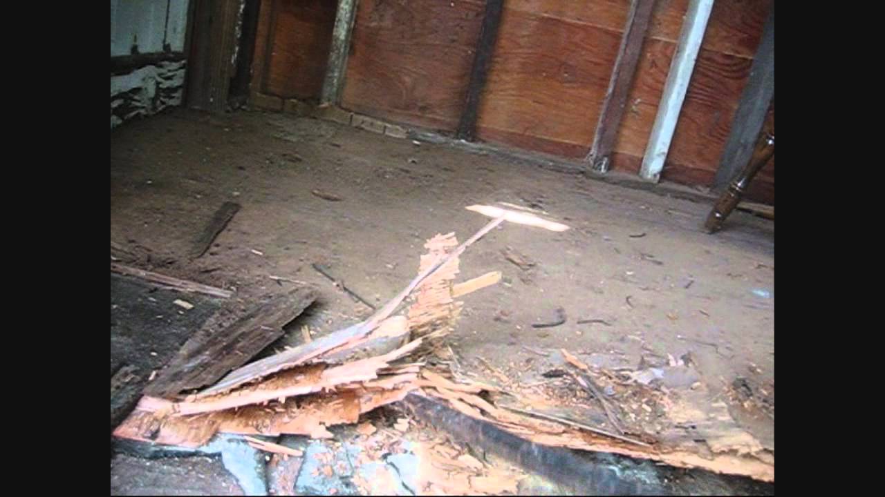 Shed Floor Replacement - Part 1 Of 2 - YouTube