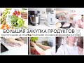 БЫТОВОЙ ВЛОГ: ЗАКУПКА ПРОДУКТОВ НОВЫЕ БЫТОВЫЕ ПОМОЩНИКИ ЗАПОЛНЯЕМ ХОЛОДИЛЬНИК ЗАПЕКАЕМ БАРАНЬЮ НОГУ