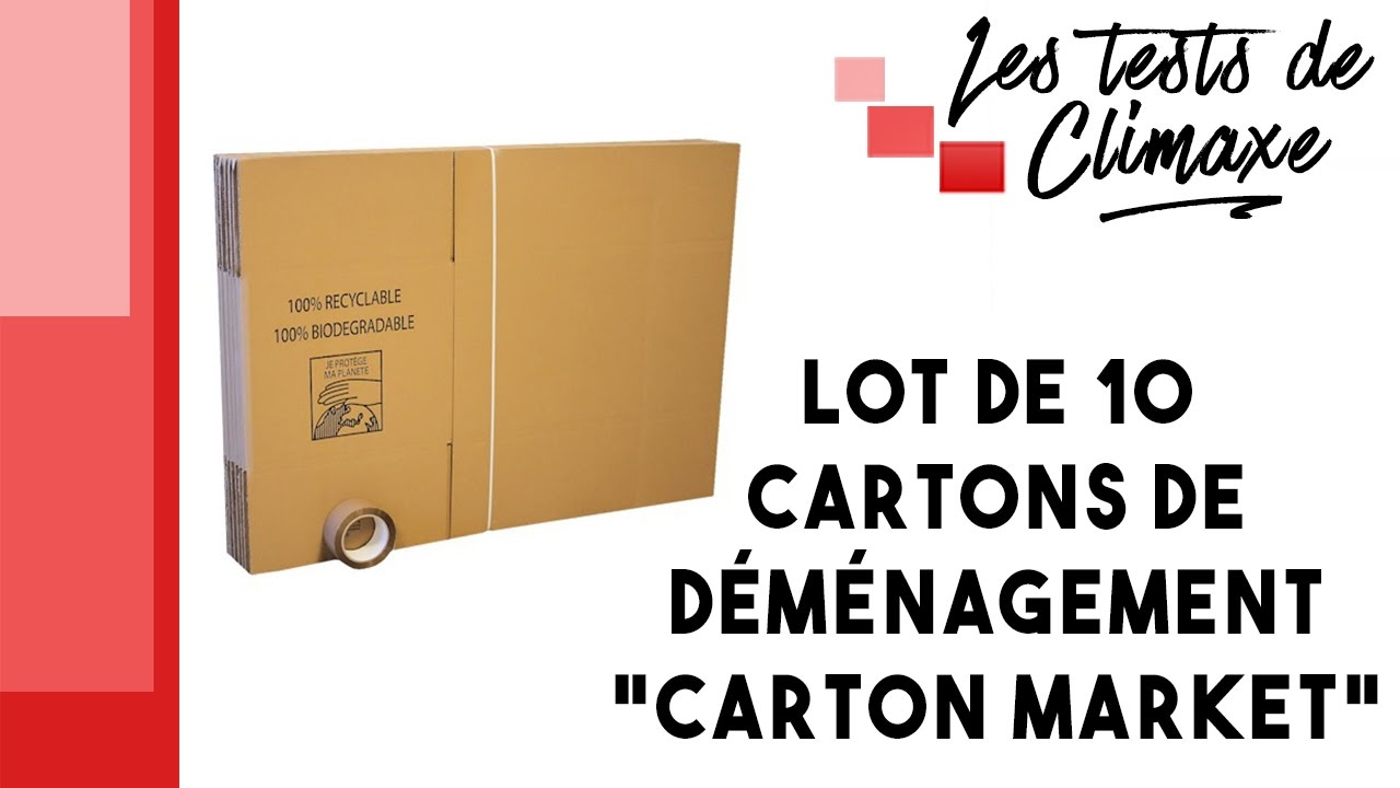 Lot 10 cartons déménagement avec trous de préhension