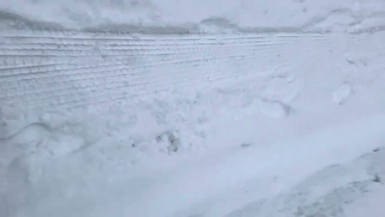 雪道 - YouTube