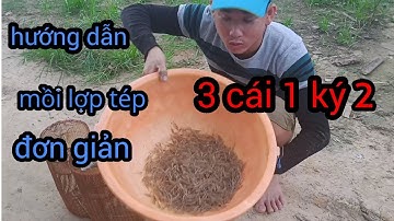 Hướng dẫn cách làm mồi đặt lợp tép. đơn giản không xem quá tiết