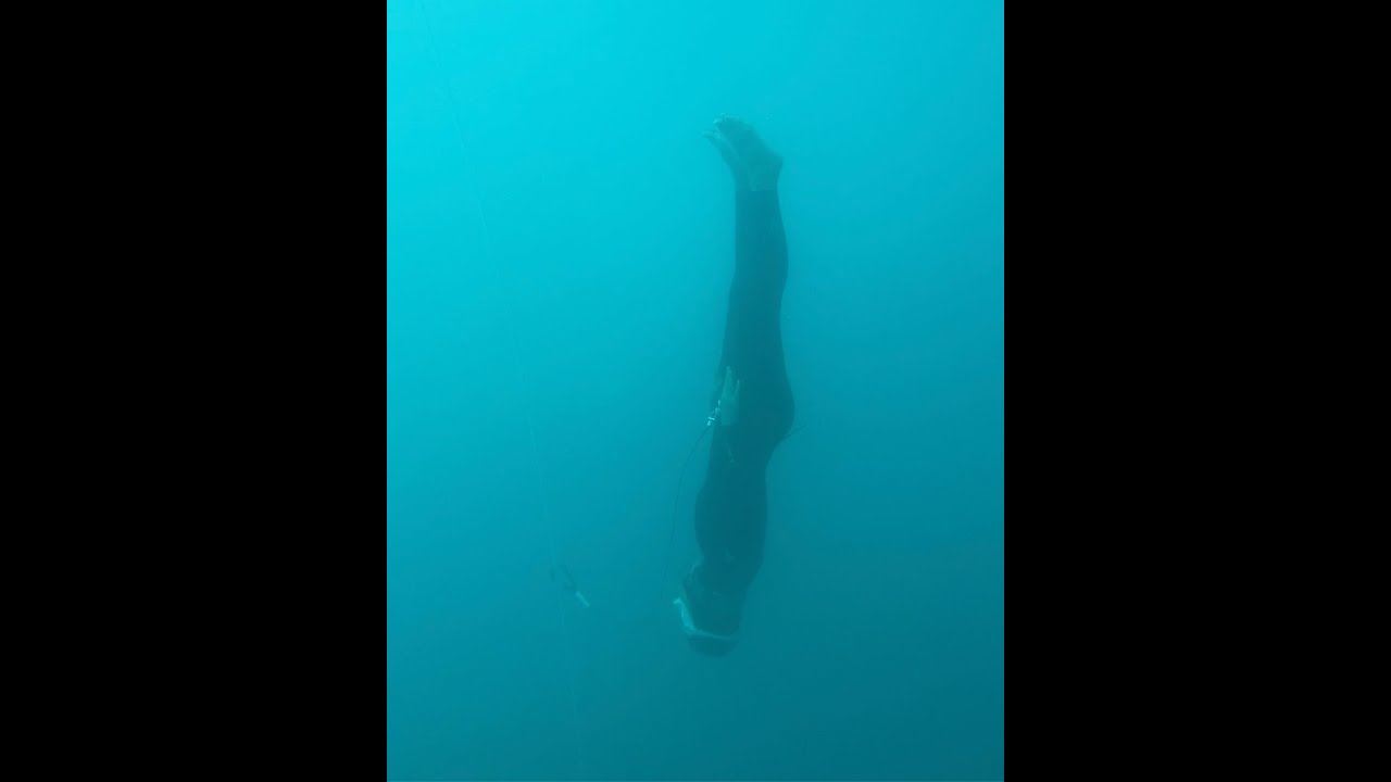 CNF 30 m (constant weight no fins) , freefall