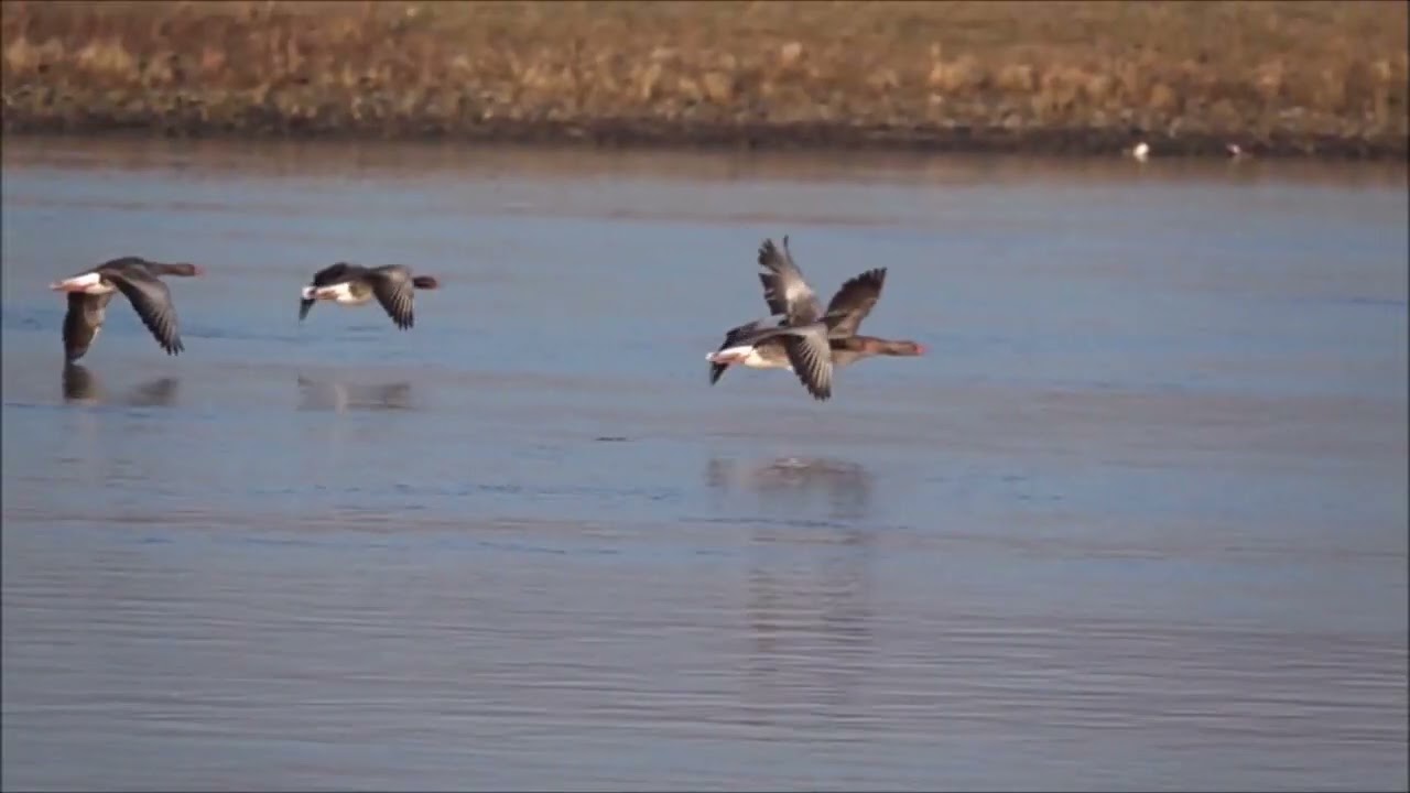 George Benson   Twice The Love