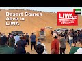 Liwa International Festival 2026 Desert Thrills Culture Epic Vibes Abu Dhabi UAE
