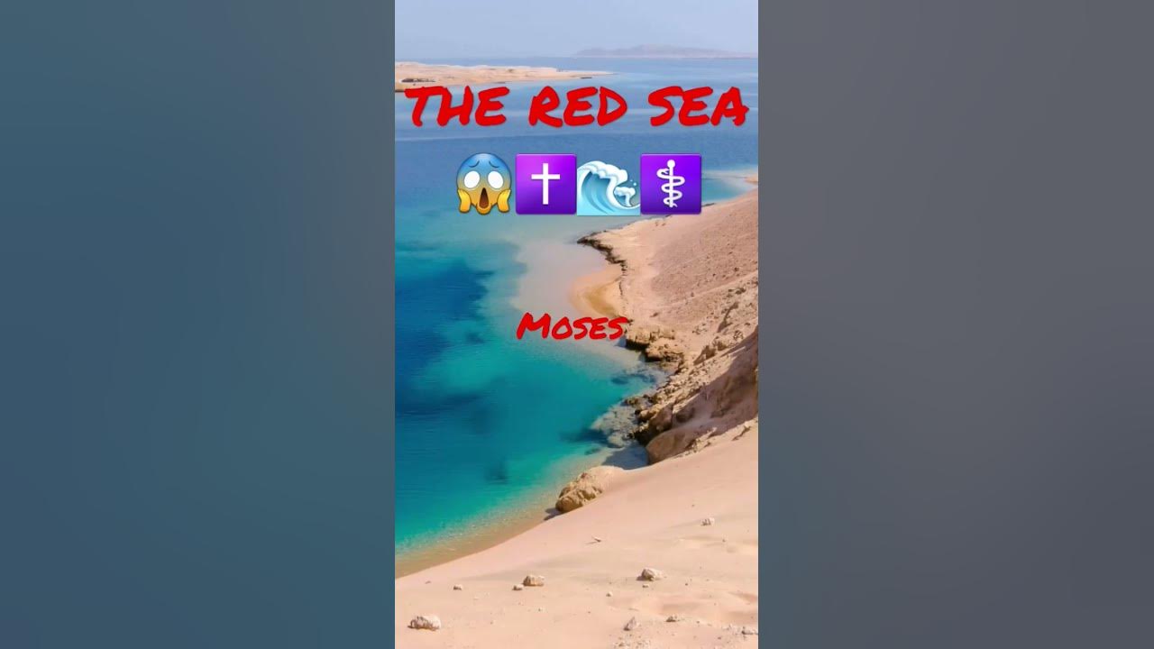 Things From The Bible In Real Life prt13✝️🙏 #jesus #bible #shorts #fyp #youtubeshorts