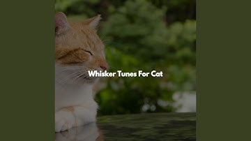 Dashing Backdrops for Co-Working Space