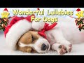 Xmas Dog Music Super Relaxing Sleep Music For Puppies ♫ Calm Your Dog ♥ Lullaby For Animals Cats