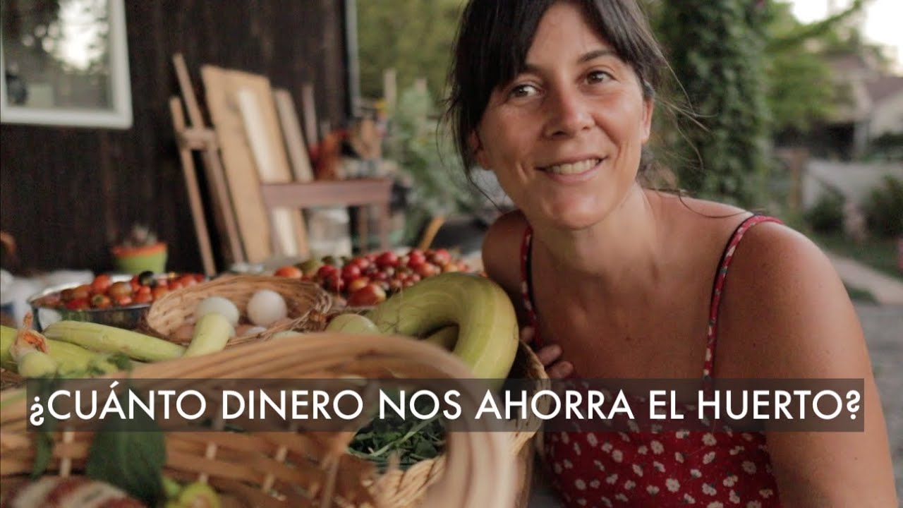 ¿Cuánto DINERO nos AHORRAMOS con el HUERTO? 🍅🥬🥚🤔