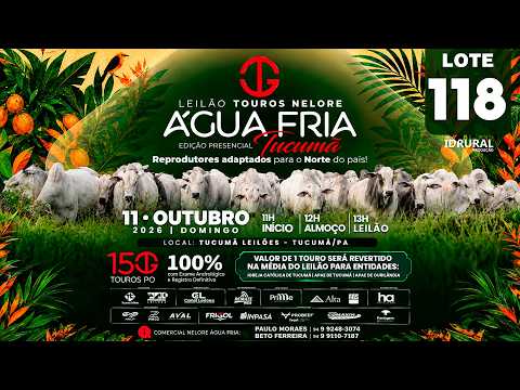 LOTE 118
