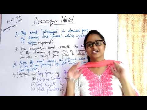 Picaresque novel | explained in hindi with notes in english |