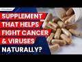 Scientists Identify Supplement That May Improve Immune Response to Cancer and Viruses