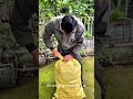 Sealing Bags with... CORN?! 🌽 The Ultimate Farmer Hack! 🧠 #lifehacks #farming #wisdom