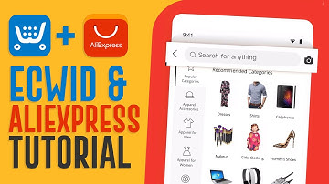 Ecwid Dropshipping With Aliexpress | Easy Tutorial For Beginners (2025)
