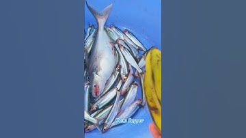 #Shorts / Tuyệt chiêu câu cá xác sọc cá ba sa mồi này nó khoái miền tây sông nước #KiềmRapper