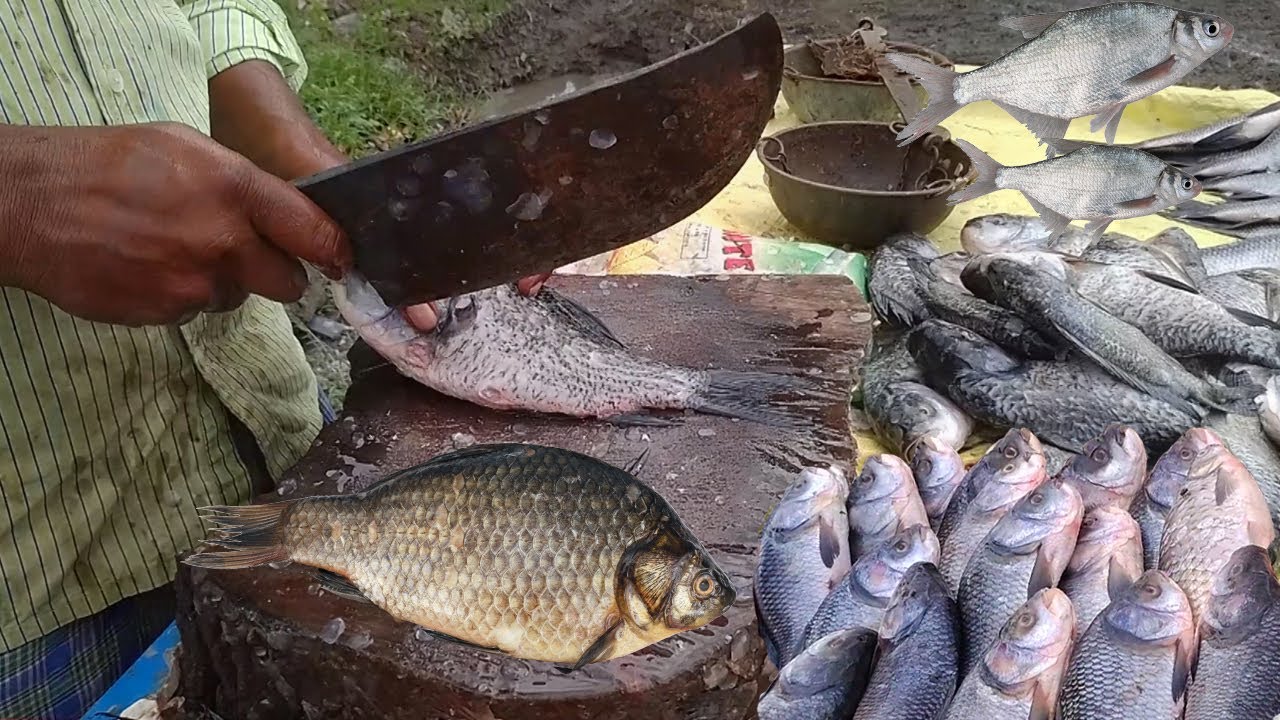 Amazing Live Fish Cutting Skills | Fish Cutting | #Streetfood | KikTV Network