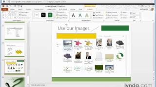 Celebrity 31 Formation PowerPoint 2013 (Formatting shapes) Net Worth
