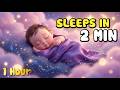 Silence racing thoughts: 1 hour biological heartbeat pulse for grounded peace