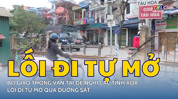 Bộ Giao thông vận tải đề nghị các tỉnh xóa lối đi tự mở qua đường sắt  | THLC