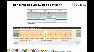 Find Significant SNPs using Avadis NGS