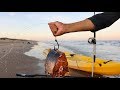 using big chunks of MEAT to catch sharks at the beach