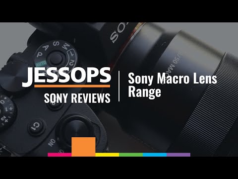 Sony Reviews | Sony Macro Lens Range | Jessops