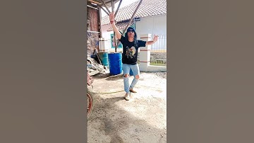 NGIBING SUNDA #youtubeshorts #shorts #jaipongan #jaipong #sunda